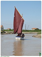 Brouage_02