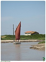 Brouage_03