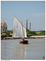 Brouage_04