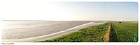 #<Filename>#