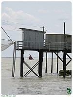 IMG_0520-L1