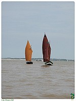 IMG_0577-L6