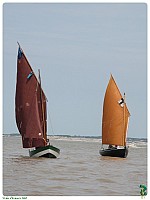 IMG_0580-L8