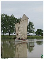 IMG_0650-L22