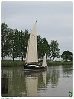 IMG_0656-L23